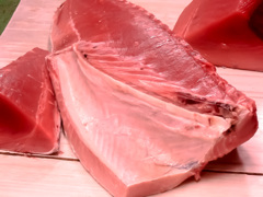 大津波の一年半前