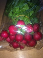 プチ・ラディッシュ