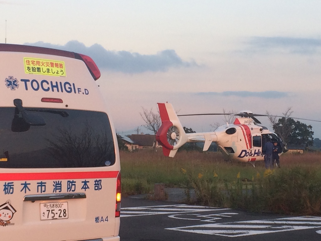 今日はアップを止めようと思ったのに