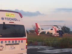 今日はアップを止めようと思ったのに