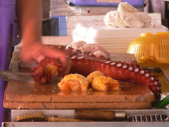 大津波の一年半前