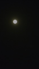 満月と木星