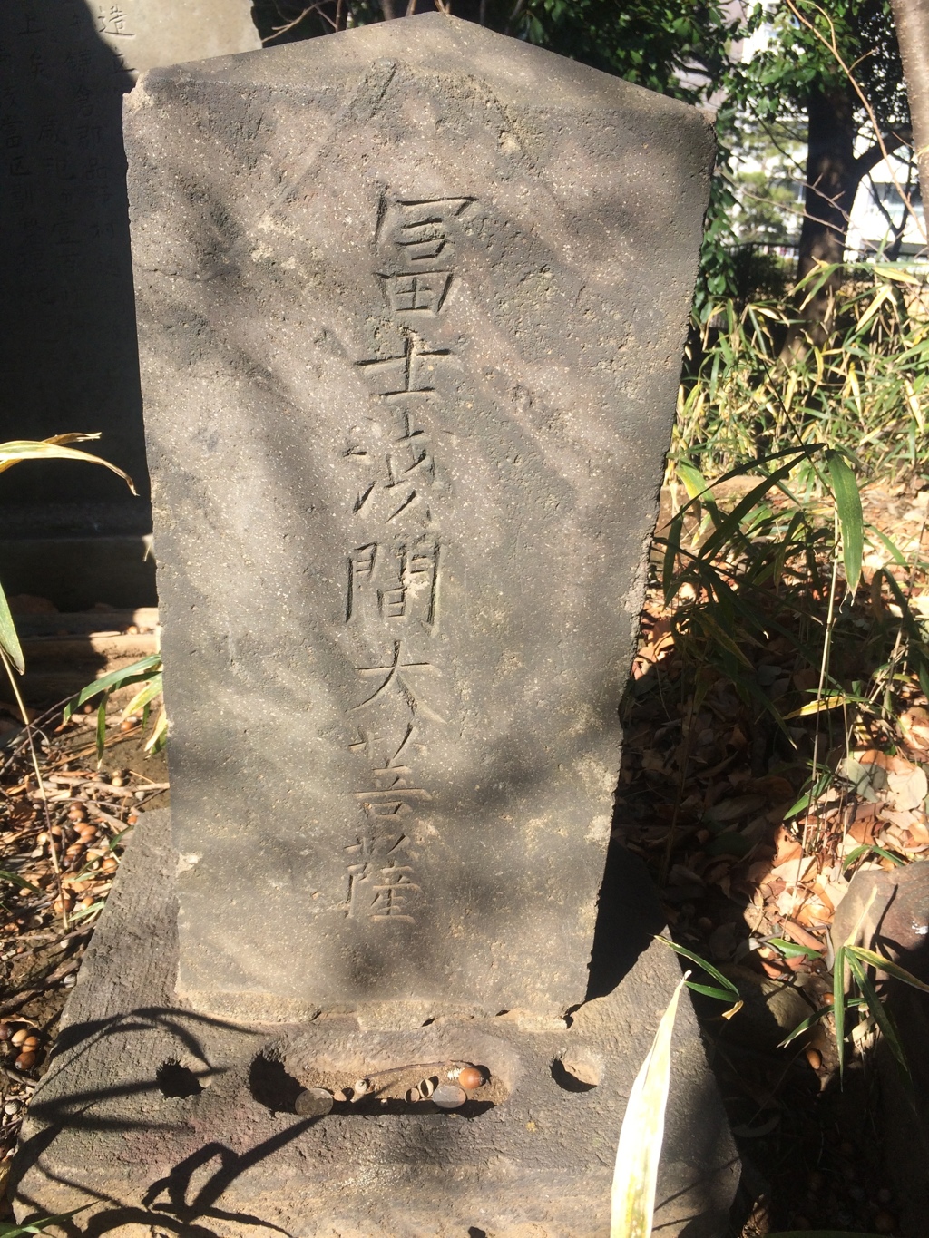 横浜市東戸塚 白旗山公園