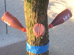 パワー注入