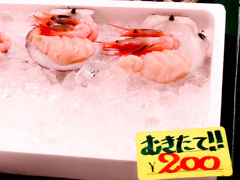大津波の一年半前