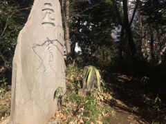 横浜市東戸塚 白旗山公園