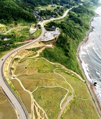 輪島の千枚田