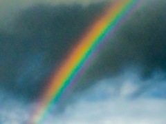 昨日見た虹