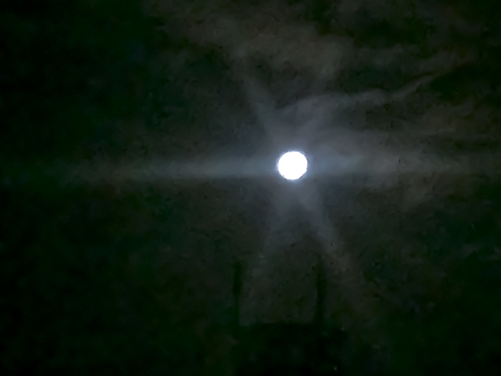 今晩又逢いたいね