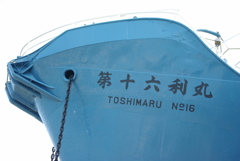 津波なんかに負けないぞ！！