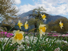 DSCN0029