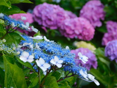 DSCN1933