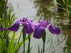 DSCF9253