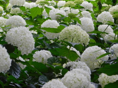 DSCN1930