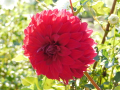 DSCN0820