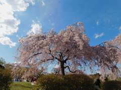 DSCN0014