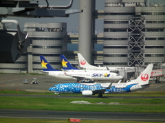 DSCF9034