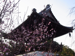 RIMG0579