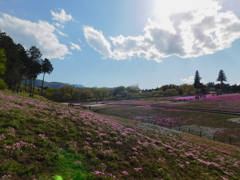 DSCN0058