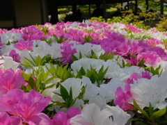 DSCN0152