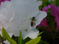 DSCN0149