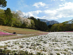 DSCN0067