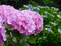 DSCN1935