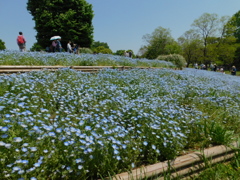 DSCN0085