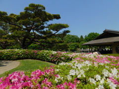 DSCN0161