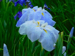 DSCN1855