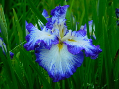 DSCN1852