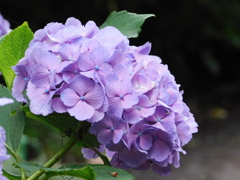 DSCN1988