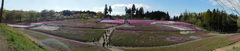 DSCN0051