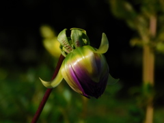 DSCN0824