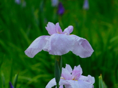 DSCN1888