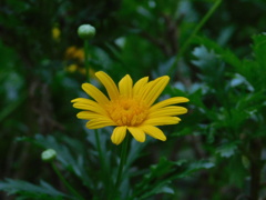 DSCN0622