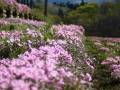 DSCN0061
