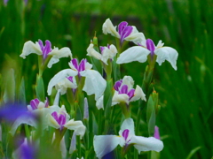 DSCN1905