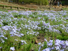 DSCN0063