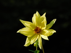 DSCN0829