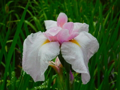 DSCN1837