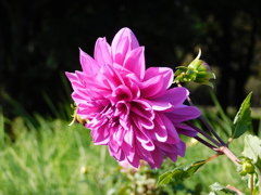 DSCN0825