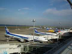 DSCF9053