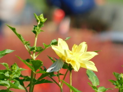 DSCN0836