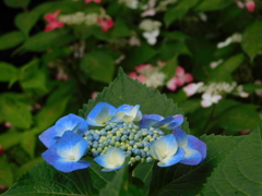 DSCN2022