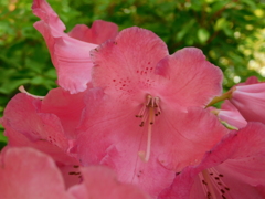 DSCN0190
