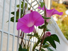 DSCN0789