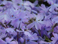 DSCN0041
