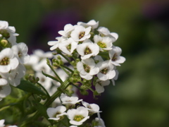 RIMG0158
