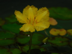 DSCN0207